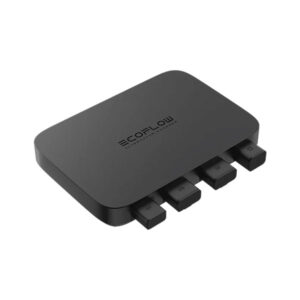 Caricabatterie d'alternatore 12V EcoFlow • 800 W