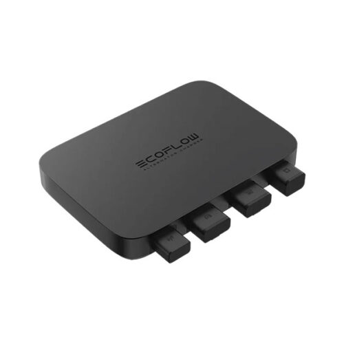 Caricabatterie d'alternatore 12V EcoFlow • 800 W