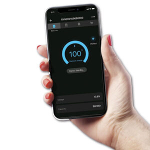 Batteria Li-Ion Exide • 100 A