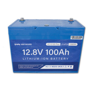 Batteria al litio • 100 A