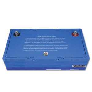 Batteria al litio • 100 A