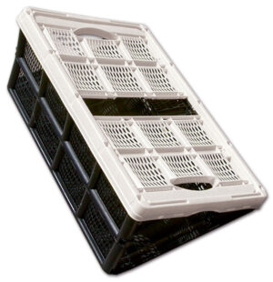 Cesta pieghevole in plastica • 32 L