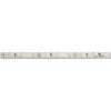 Striscia 300 LED • blu • 5 m