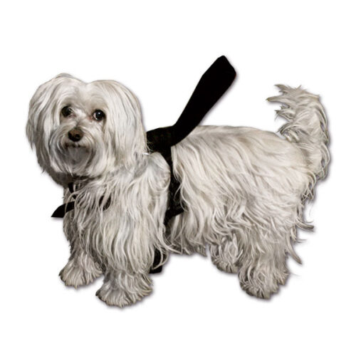 PET802_1 Pettorina completa per cani • taglia L