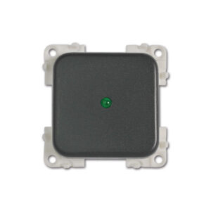 Interruttore con LED • 12 V • verde / grigio
