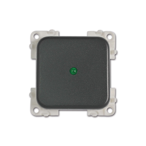 Interruttore con LED • 12 V • verde / grigio