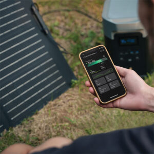 EcoFlow Delta 2 Max • 2.400 W