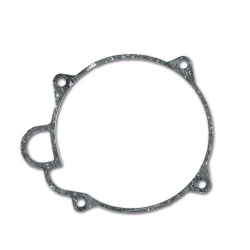 RIS9207_1-1 Dettaglio della guarnizione per 4D, componente essenziale per riscaldatori a gasolio.