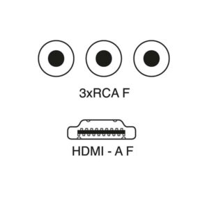Centralina adattatore da RCA a HDMI