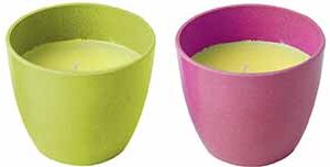 Candela alla citronella S