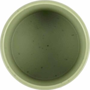 0830031C.C43_4 Immagine ravvicinata del bordo di una tazza del Set 2 Espresso Dolomit green con caffè fumante